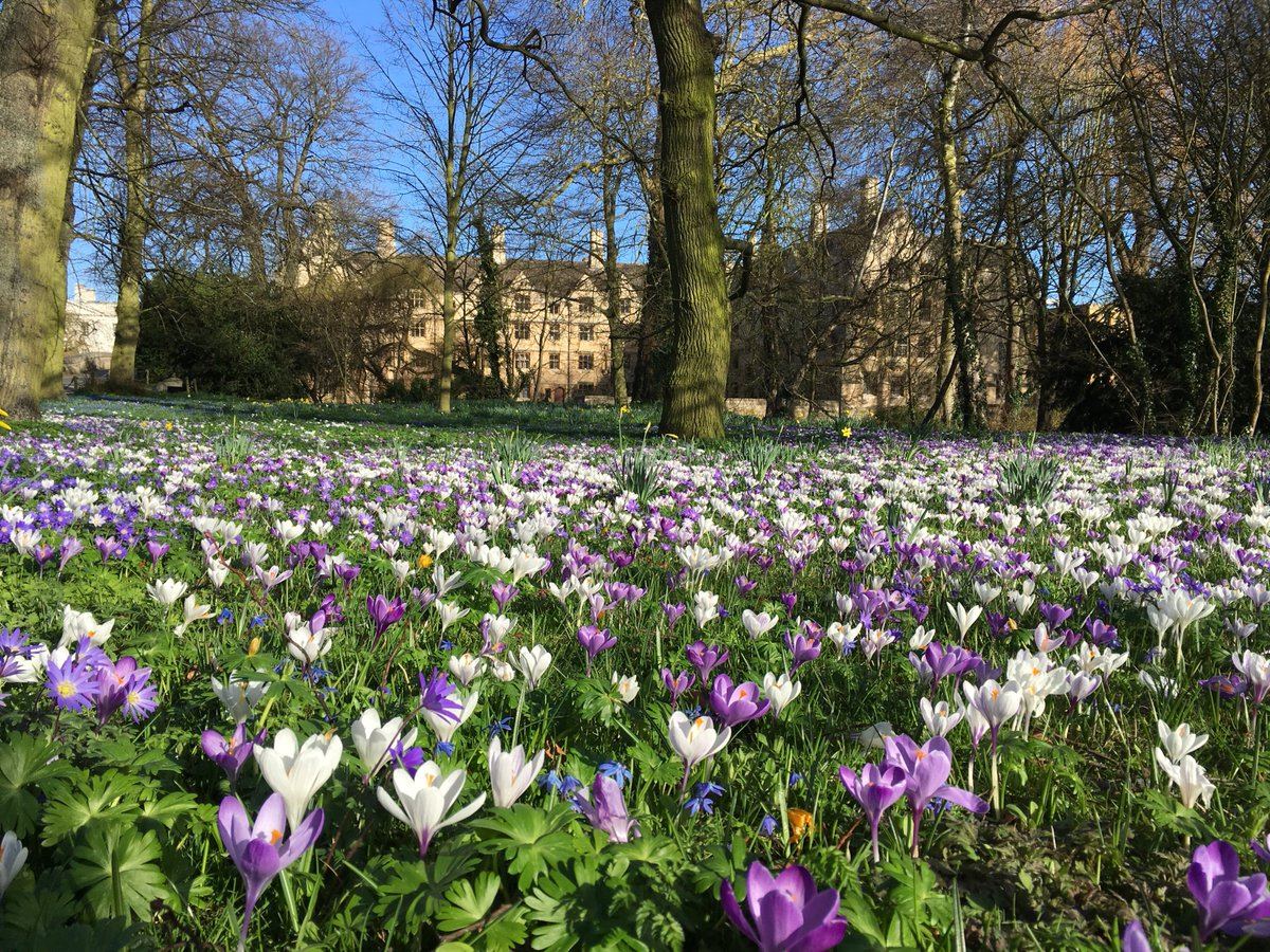 King's Cambridge Conference and Dining - 1