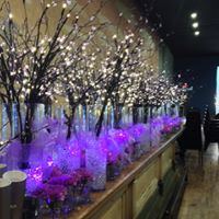 The Historic Serf Theatre Hall - 4