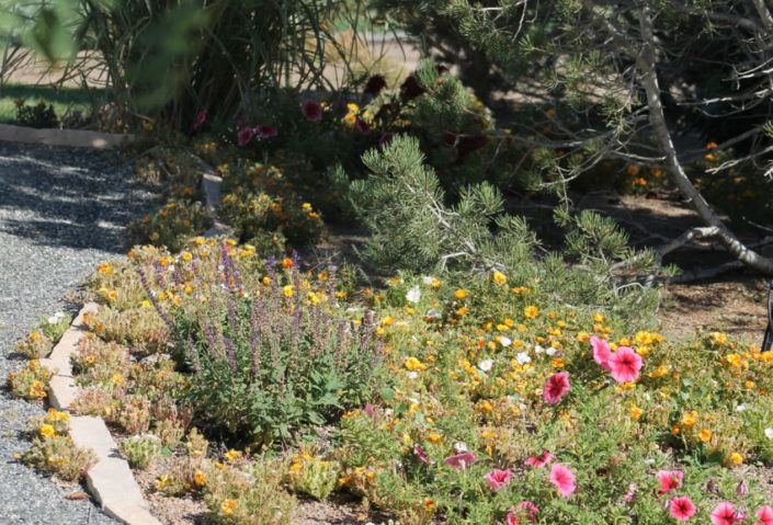 The Meadows Event Center - 7