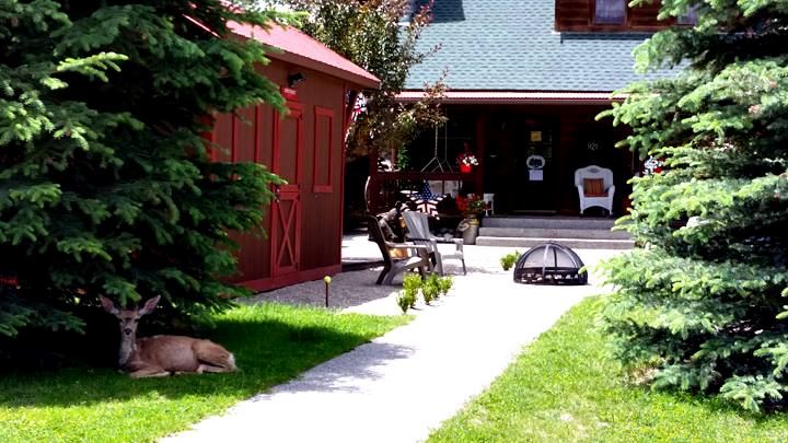 The Molesworth House - 4