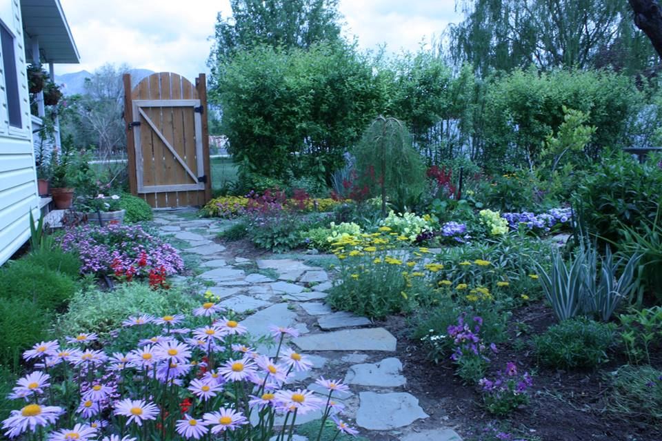 The Lavender House - 6