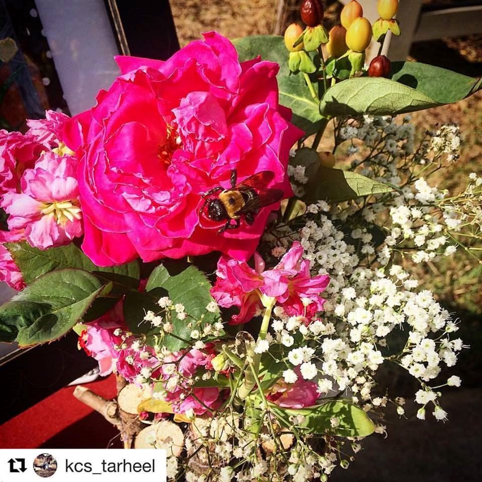 The Gene Strowd Community Rose Garden - 2