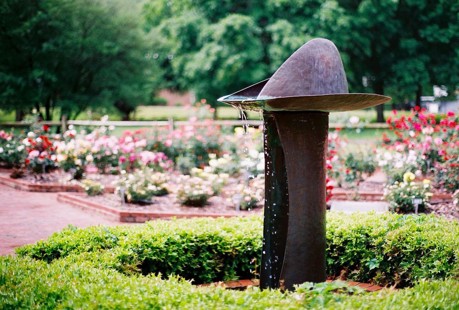 The Gene Strowd Community Rose Garden - 3