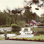 Shady Wagon Farm - 2