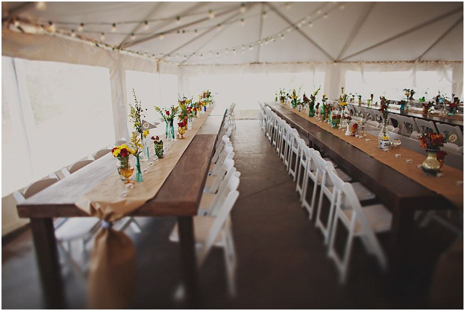 Morning Glory Farm - 7