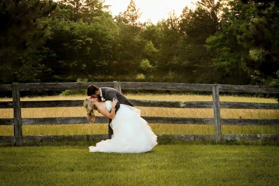 The Light Horse Plantation - 3