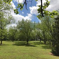 Magnolia Manor Plantation Bed and Breakfast - 4