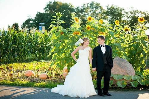 The Meadow Event Park - 1