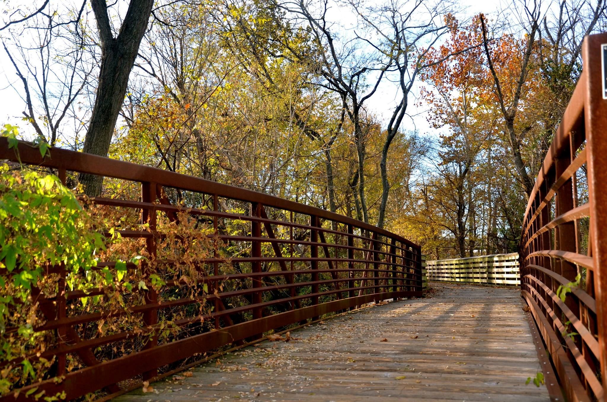 Cottontail Weddings and Events - 2