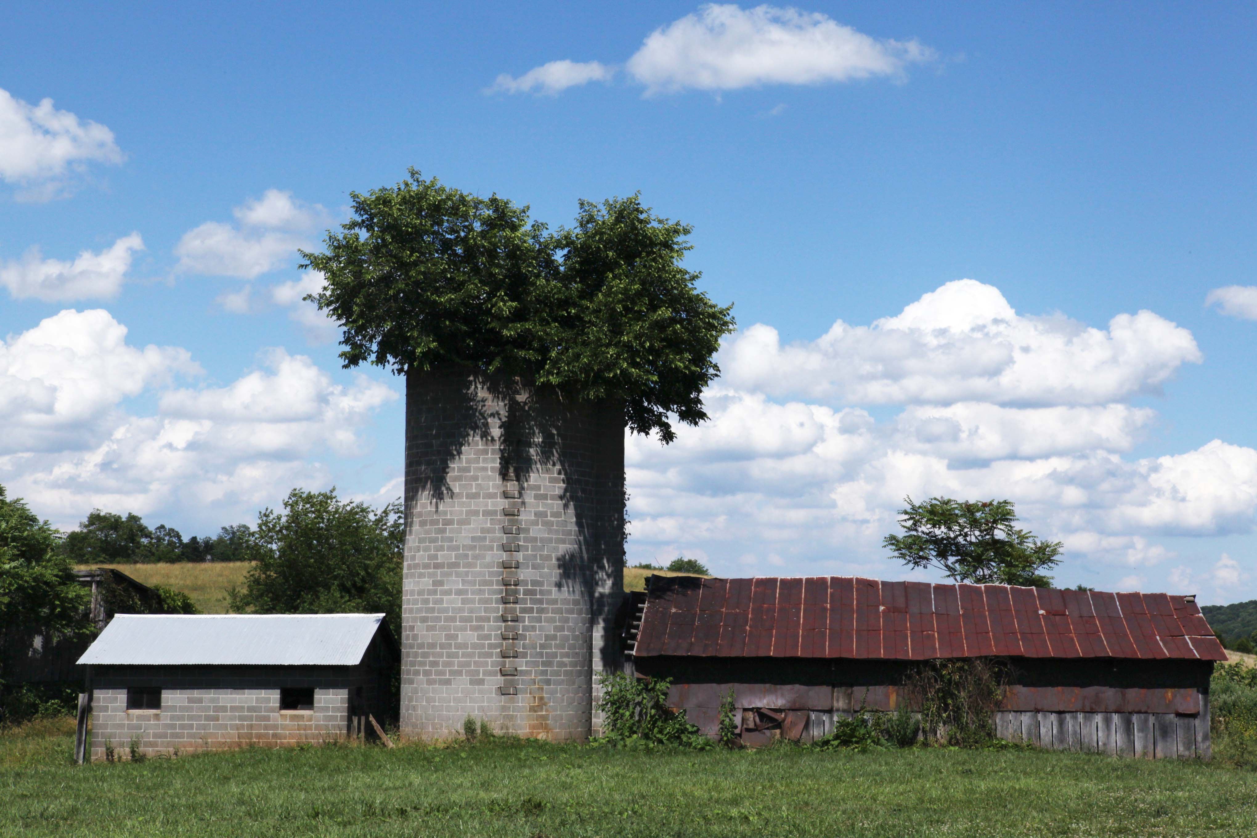 Locust Hill Manor - 6