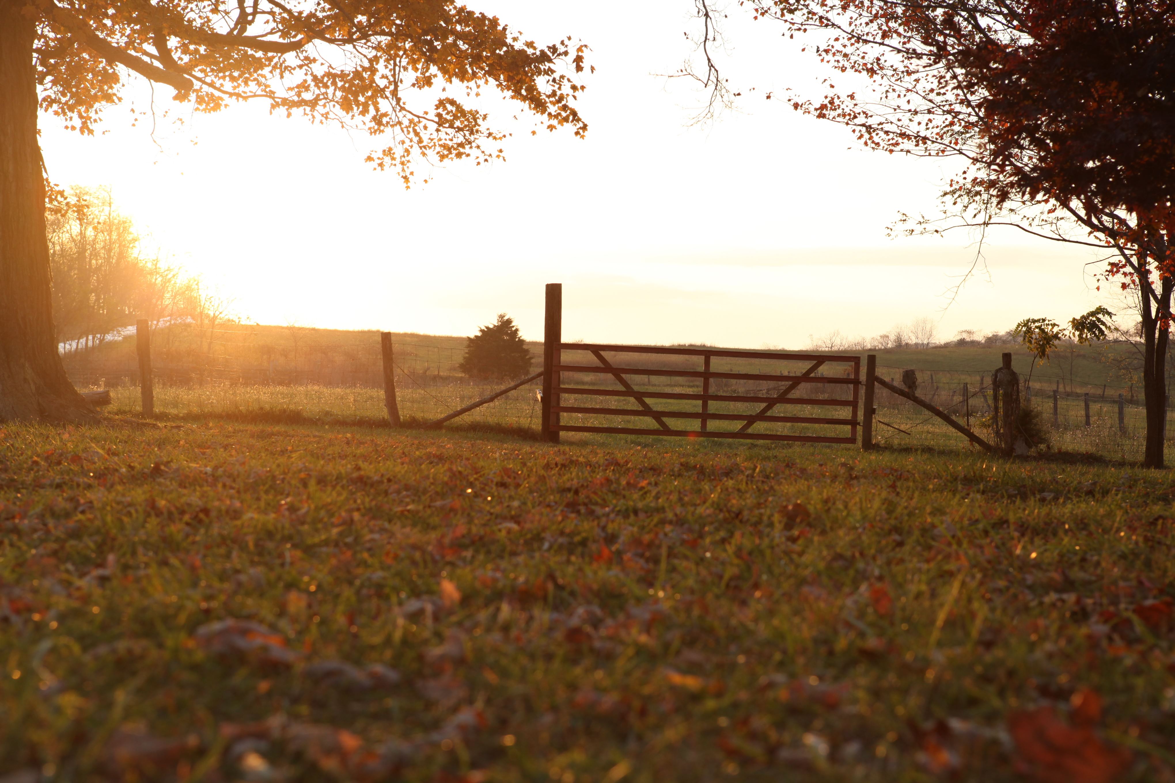 Locust Hill Manor, Wytheville, Virginia, Wedding Venue