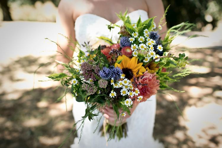 Scholls Valley Lodge - 5