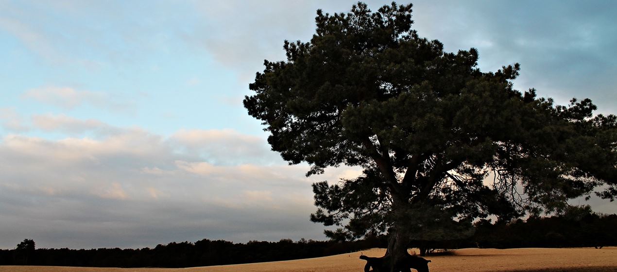 Hilton Royal Parc Soestduinen - 2