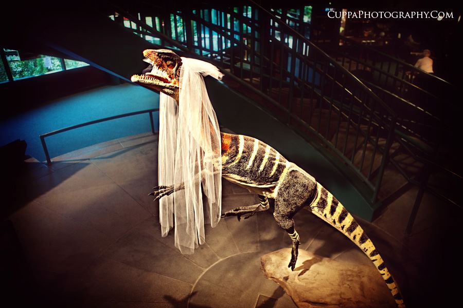 Virginia Living Museum - 7