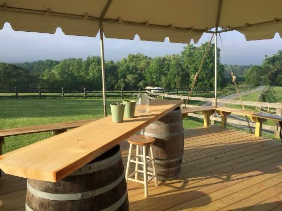 The Knight's Gambit - 7