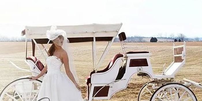 Spring Valley Farm - 4