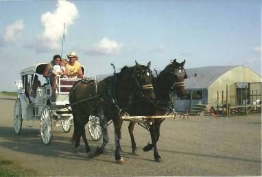 Spring Valley Farm - 5