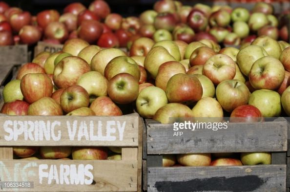 Spring Valley Farm - 7