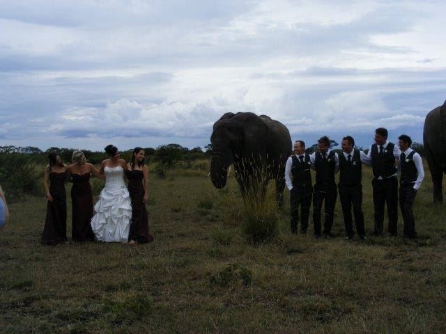 Pamunzinda Safari Lodge - 2