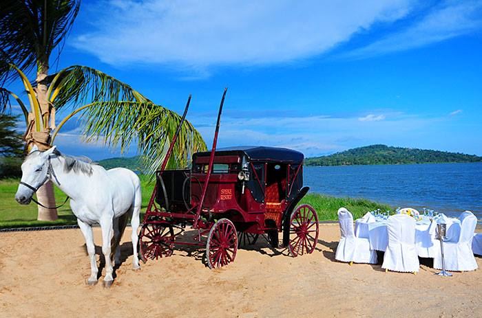 Speke Resort Munyonyo - 3