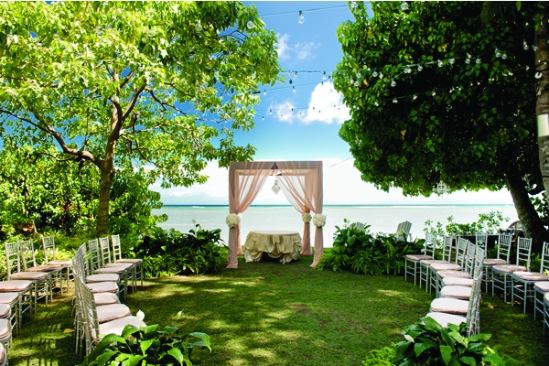 The Bayer Estate - 3