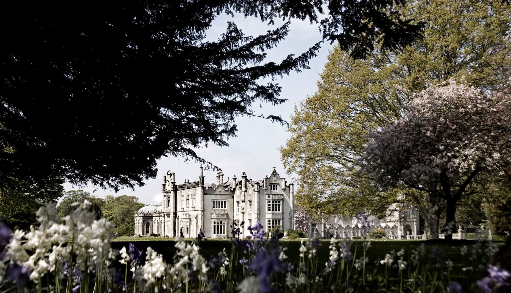 Killruddery House & Garden - 4