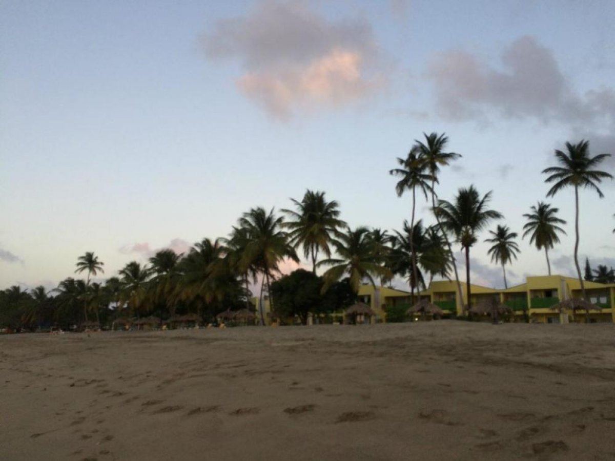 Turtle Beach by Rex Resorts - 7