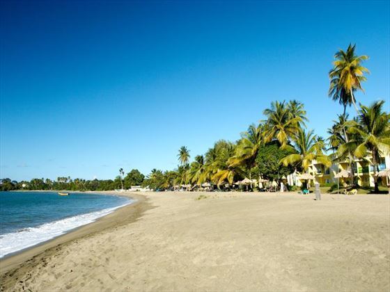 Turtle Beach by Rex Resorts - 4