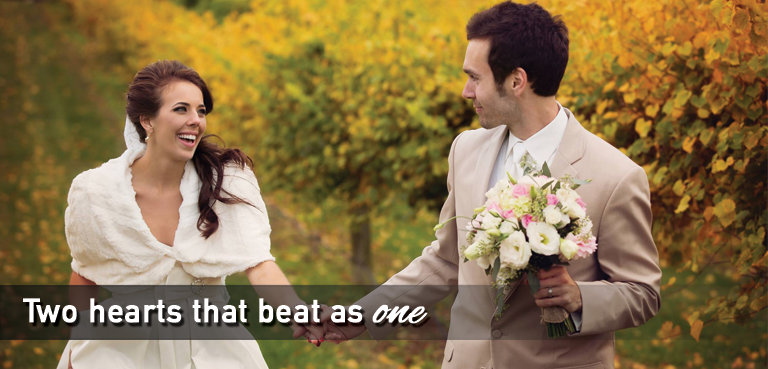 Dennis Vineyards Winery - 6