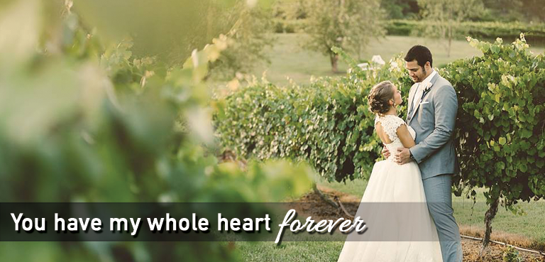 Dennis Vineyards Winery - 4