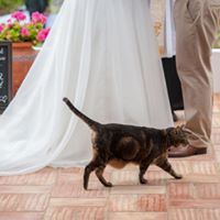 Quinta Bonita Luxury Boutique Hotel - 1