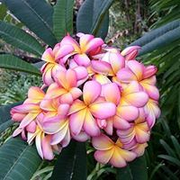 Quinta Jardins Do Lago - 3