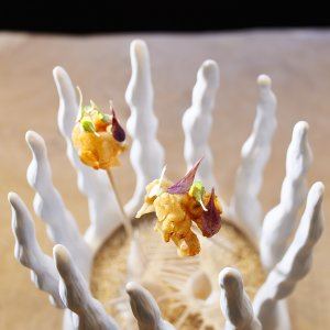 Vila Vita Parc Resort and Spa - 1