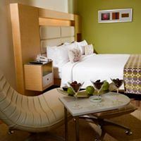 The Raintree, Anna Salai - 7