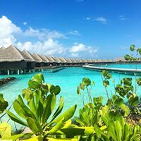 Taj Lake Palace Udaipur - 1