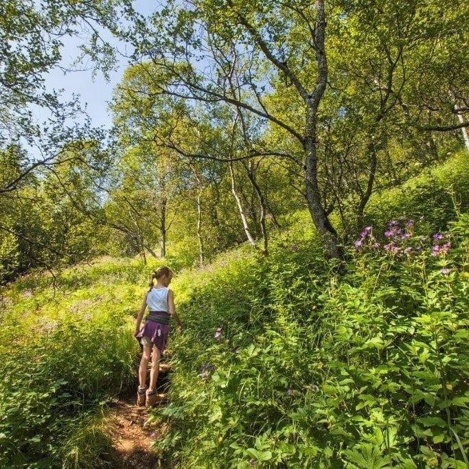 Icelandair Hotel Klaustur - 3