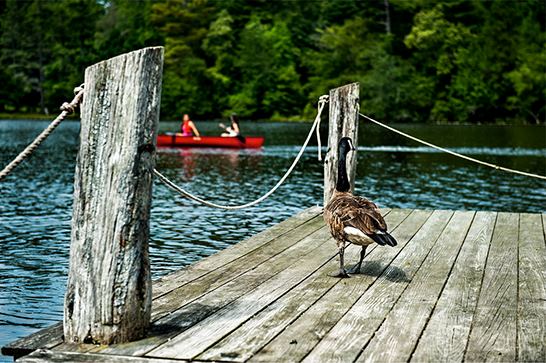 Highland Lake Inn and Resort - 1