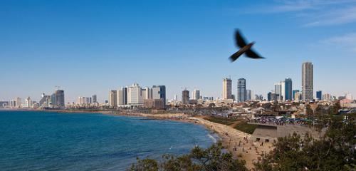 Dan Panorama Hotel, Tel Aviv - 1