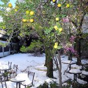 The Beit Shmuel Roof Terrace - 2