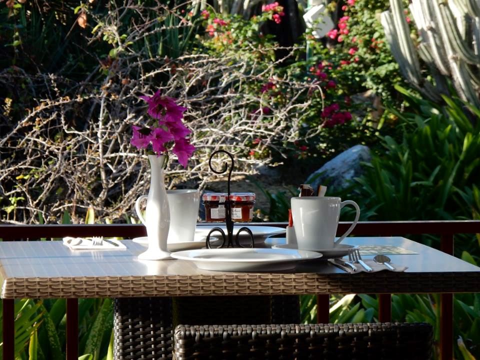 Palm Court Hotel - 7