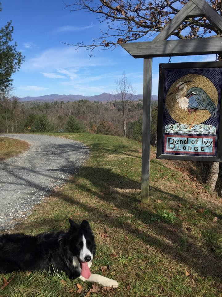 Bend of Ivy Lodge - 7