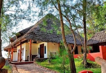 Pongwe Beach Hotel - 6