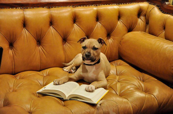 Battery Park Book Exchange and Champagne Bar - 1