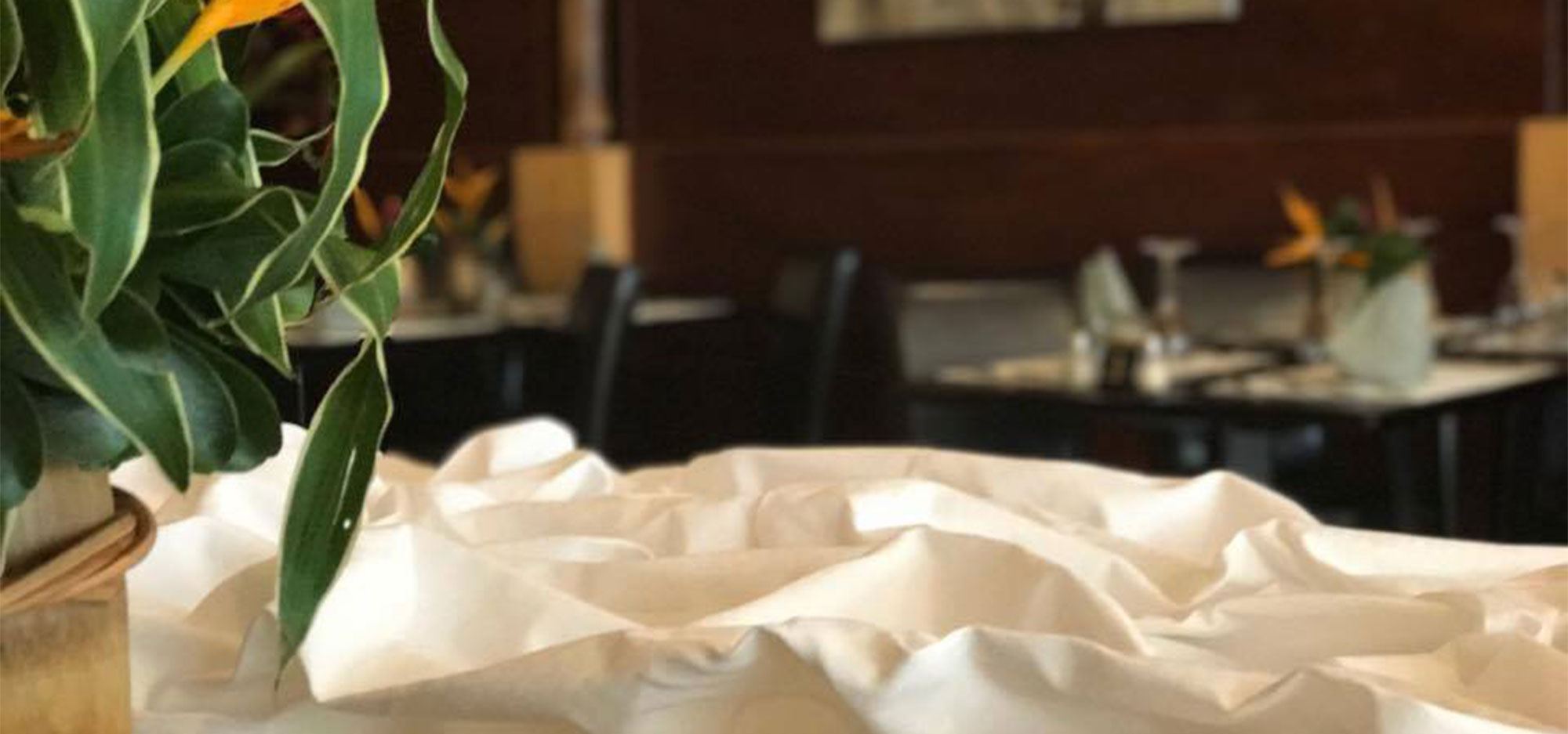 Bano Palace Hotel - 2