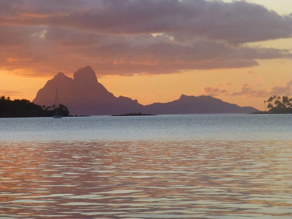 La Perle de Tahaa - 6