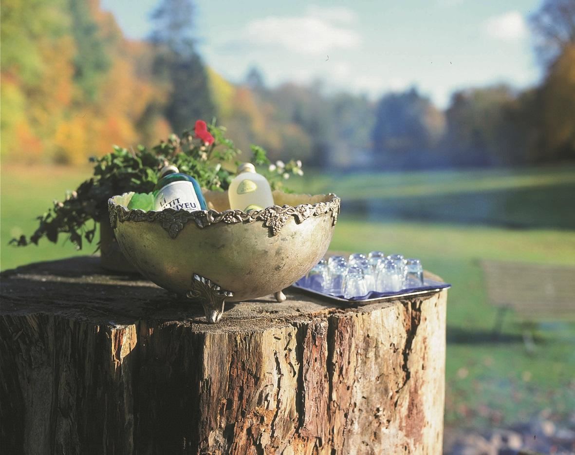 Chateau d'Hassonville - 1