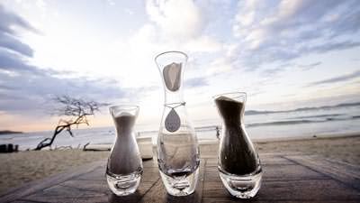 Tamarindo Diria Beach Resort - 5