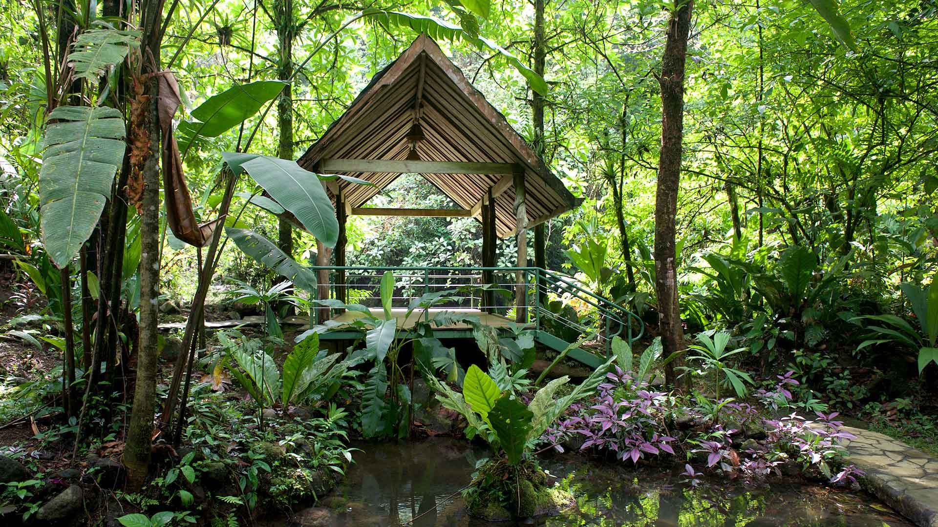 Hotel Si Como No - 5