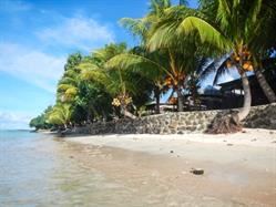 Stevenson's at Manase - 7