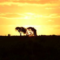 Kariega Game Reserve - River Lodge - 7